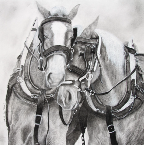 “Team Bond” by Sarah Poncelow