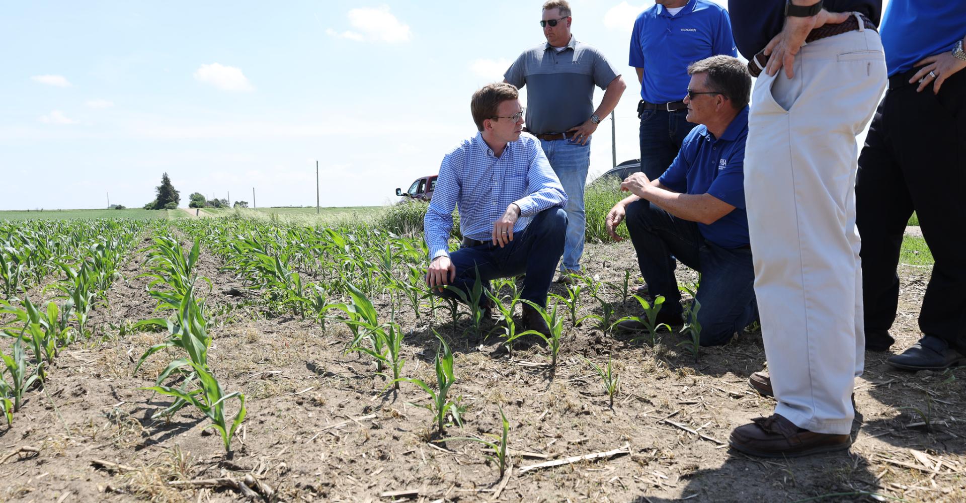 Johnson, Stefanik PASS Act Prevents China from Purchasing U.S. Agriculture Businesses